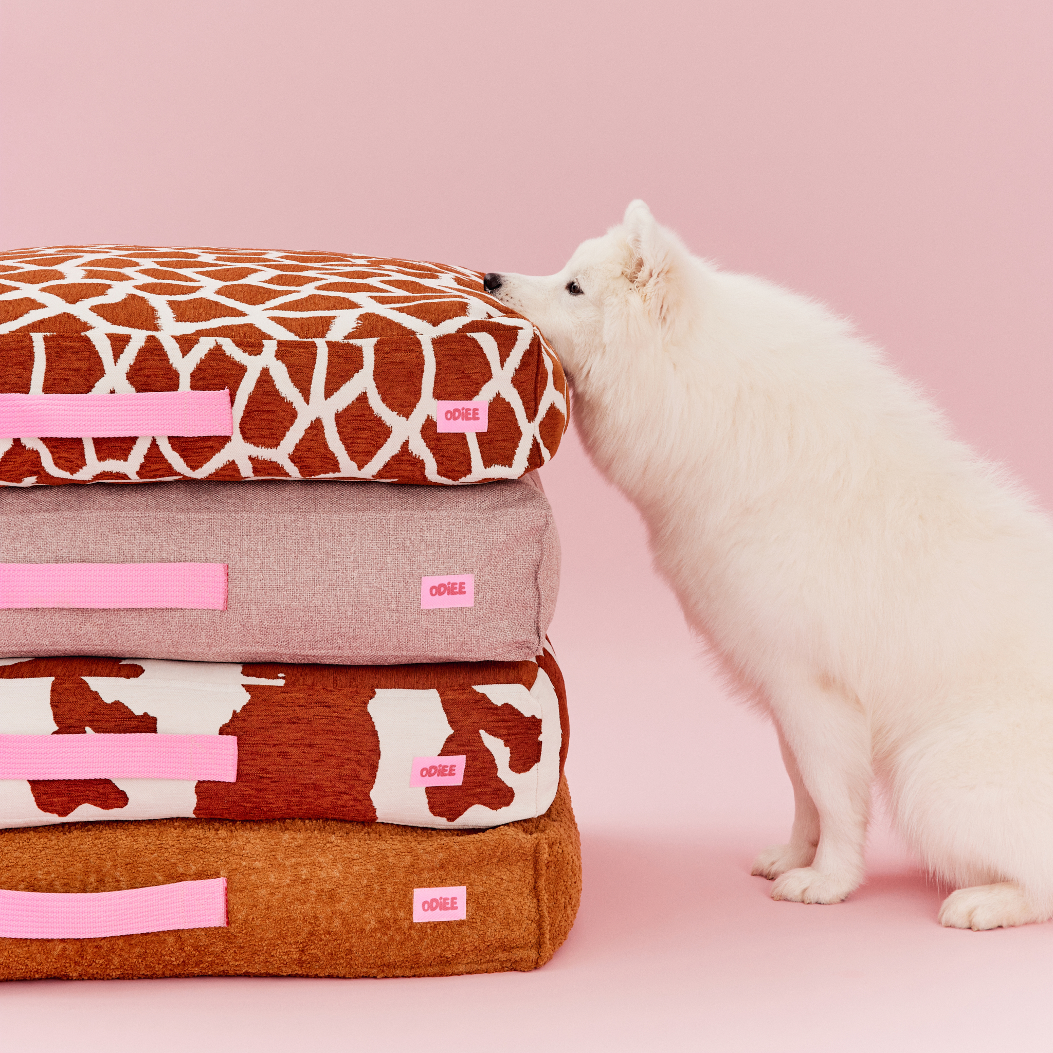 legowisko toffee legowisko toffee