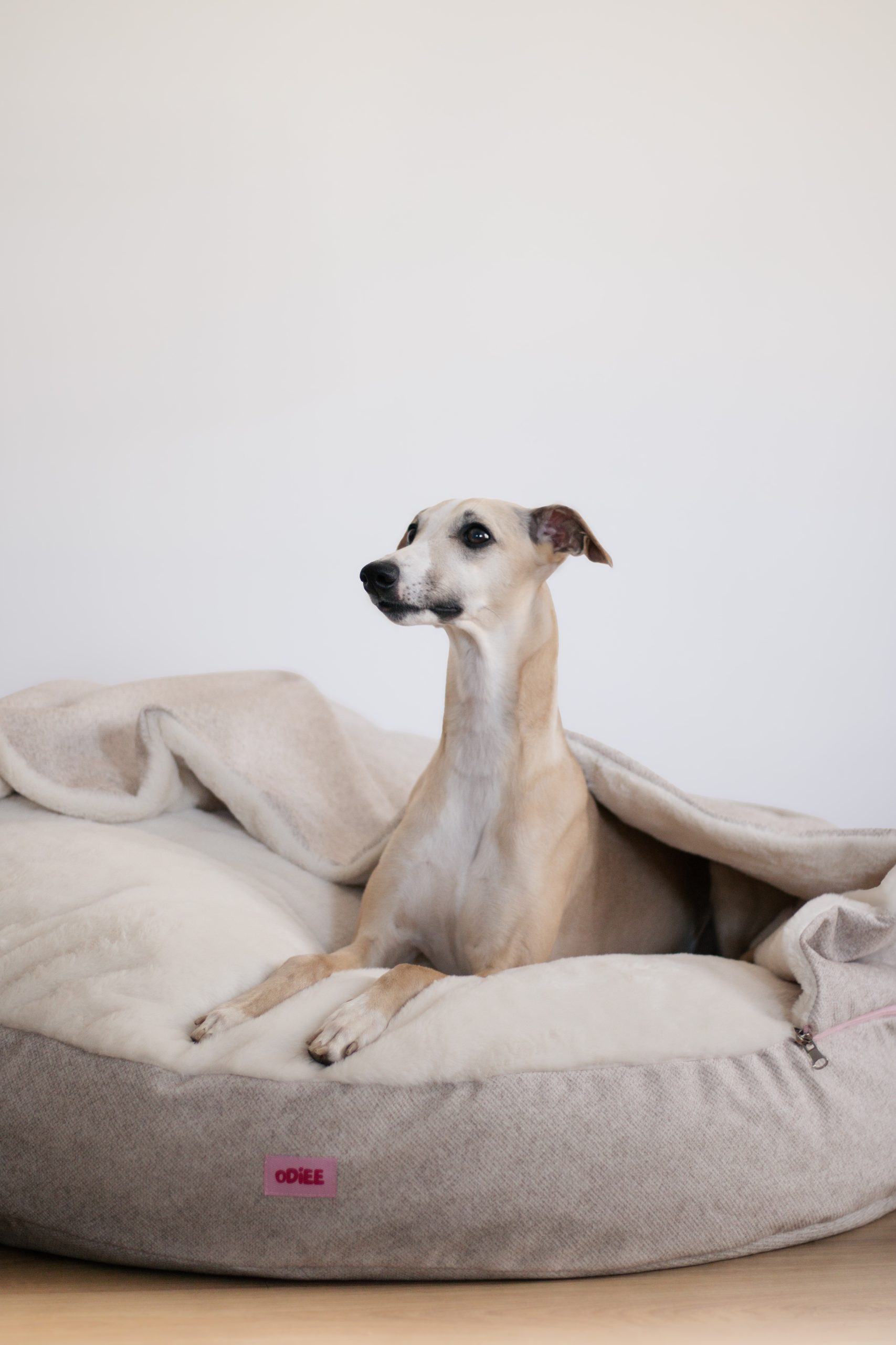 Legowisko norka dla psa Odiee Cloud Cream legowisko norka dla psa Odiee Cloud Cream miękkie legowisko dla psa
