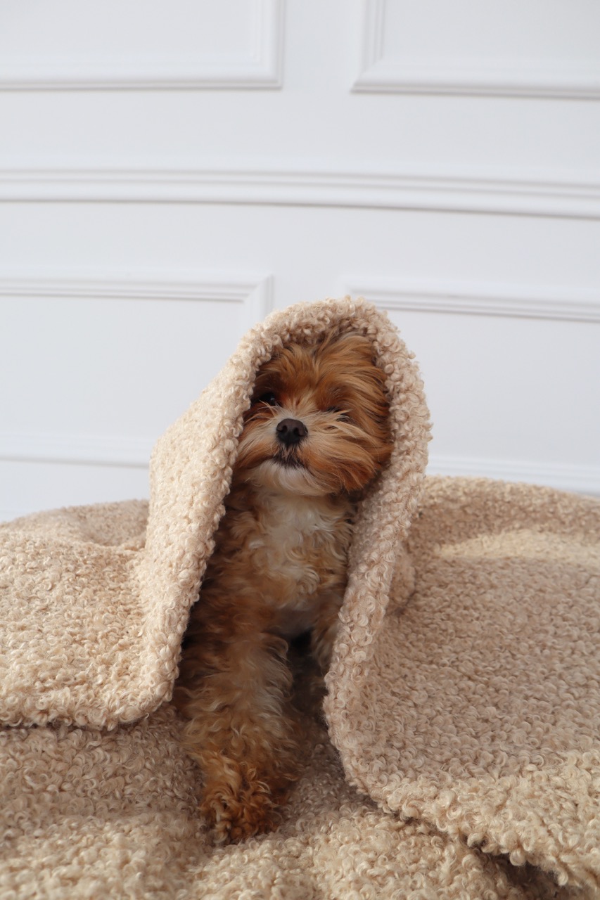 legowisko norka dla psa neutral line legowisko norka dla psa neutral line