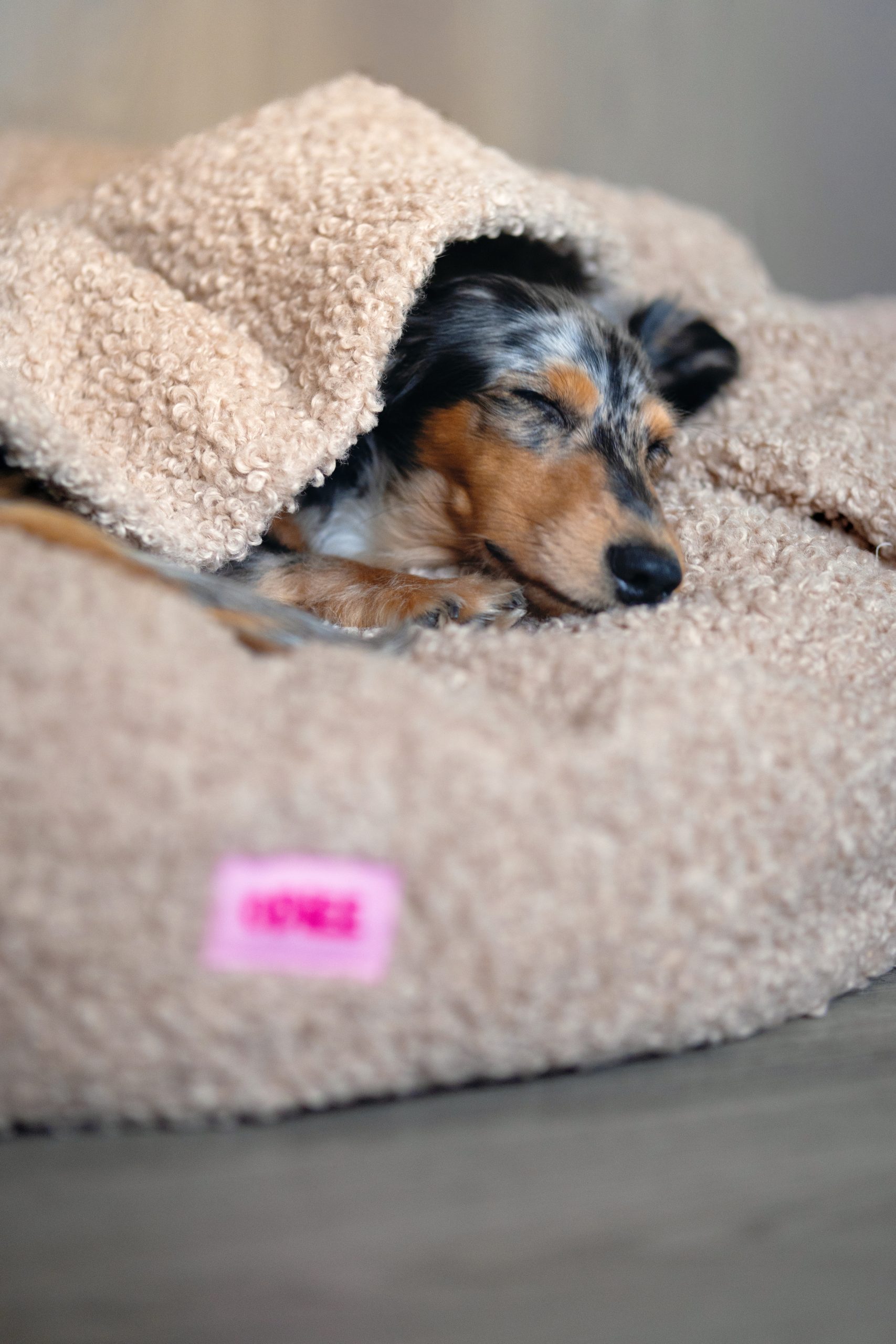 Legowisko norka dla psa Odiee Teddy Boucle legowisko norka dla psa Odiee Teddy Boucle miękkie legowisko dla psa