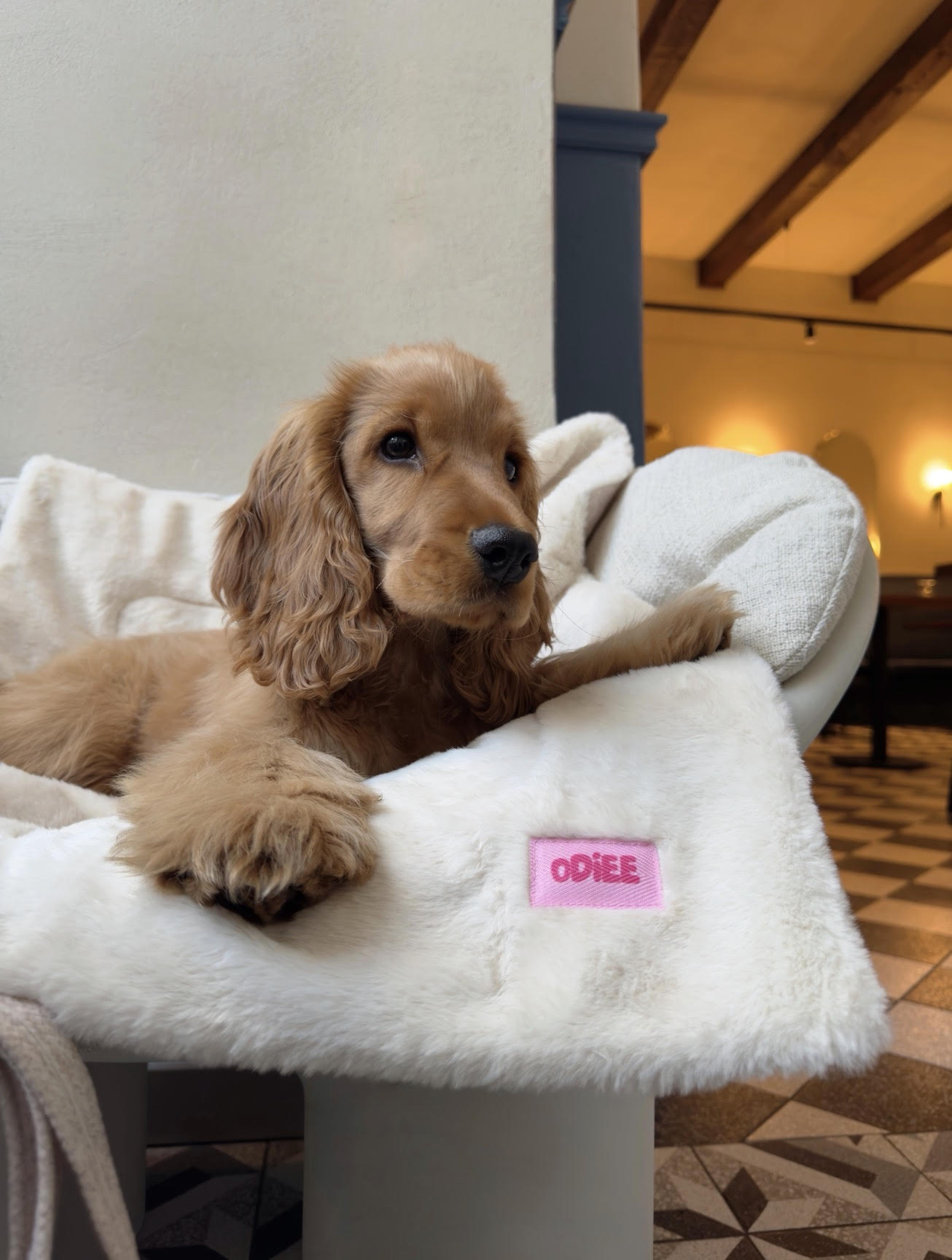 Mata podróżna dla psa Odiee mata podróżna dla psa Odiee miękka mata dla psa