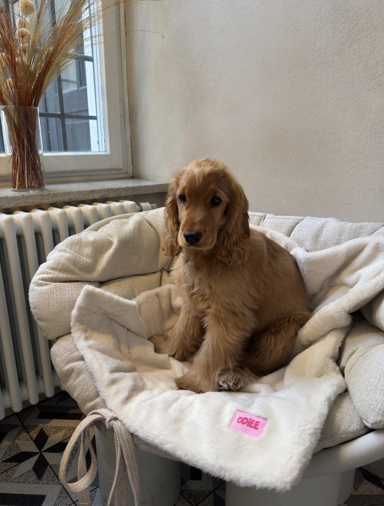 Mata podróżna dla psa Odiee mata podróżna dla psa Odiee miękka mata dla psa