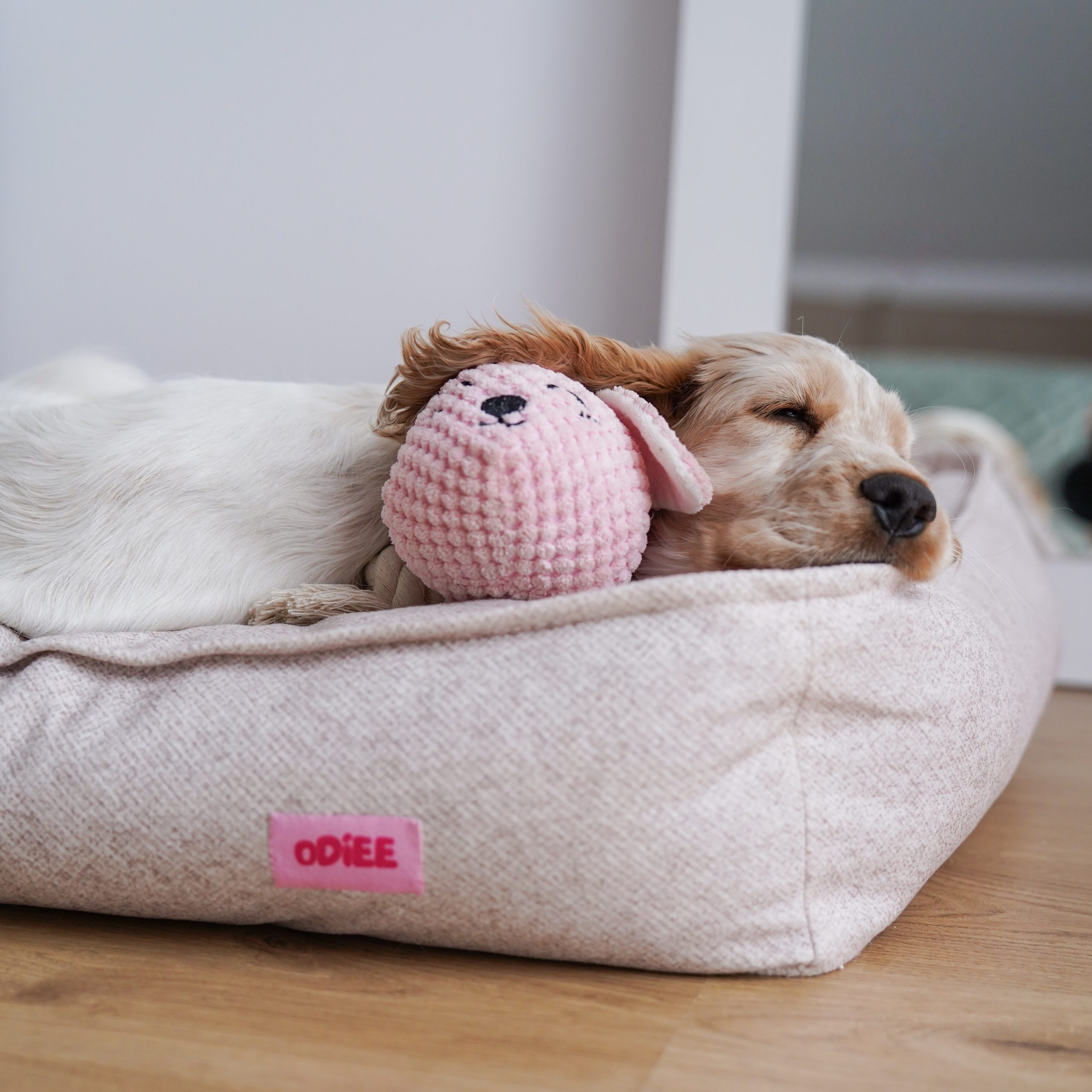 image00009